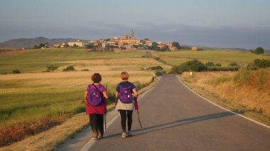 The pilgrims on the Camino between Los Arcos and Sansol - Navarre, Spain clipart