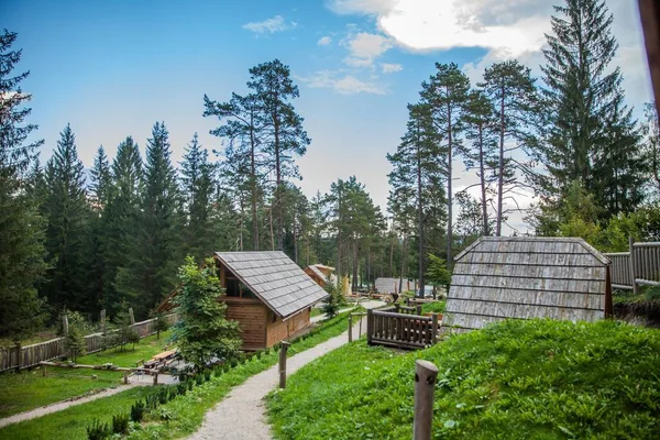 Une Vue Des Hébergements Avec Des Sentiers Étroits Entourés Arbres — Photo