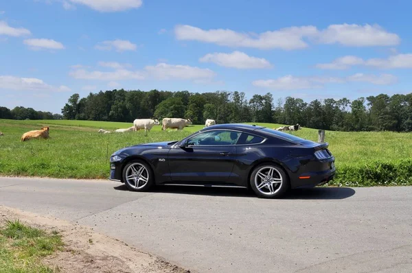 Kiel Alemanha Maio 2020 Carro Esporte Ford Mustang Preto Frente — Fotografia de Stock