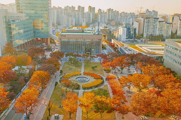 Hög Vinkel Skott Vacker Park Omgiven Byggnader Tagna Hösten Seoul — Stockfoto