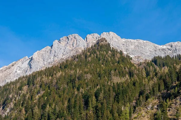 瑞士阿尔卑斯山上美丽的山景 绿树成荫 山岩耸立 — 图库照片