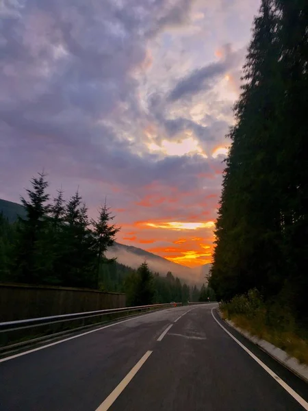 Vertical Shot Road Surrounded Trees Breathtaking Sunset Background — Stock Photo, Image