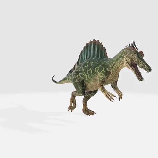 Illusztrációja Spinosaurus Spinosaurus Fehér Háttérrel Spinosaurus Félvízi Dinoszaurusz Volt Kréta — Stock Fotó