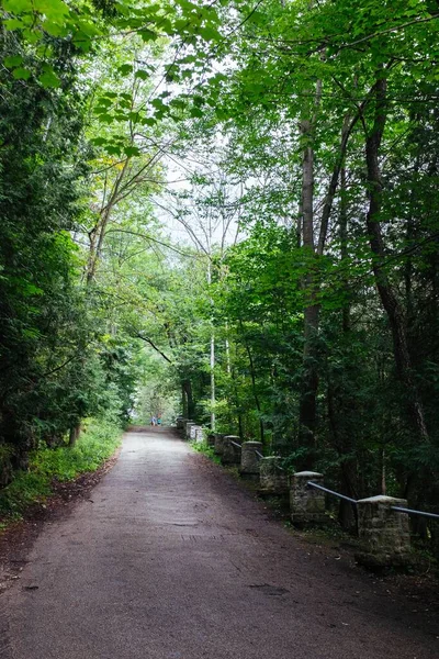 Caminho Pelas Árvores Verdes Parque — Fotografia de Stock