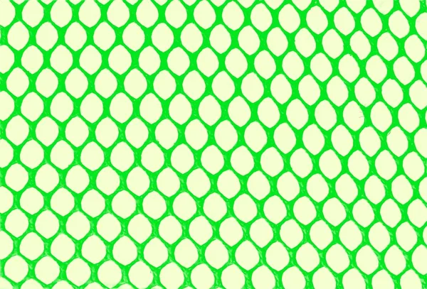 カラフルな大きな点線の壁紙パターン — ストック写真