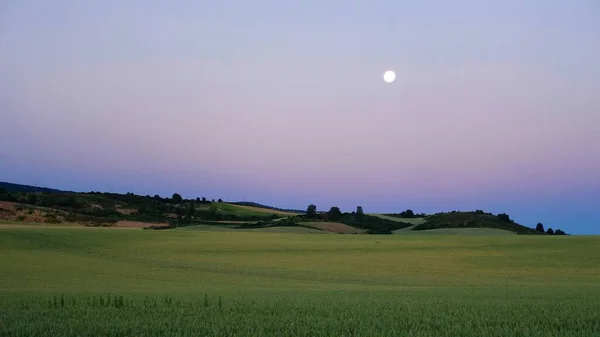 Fantastisk Sommar Skymning Landskap Den Gröna Dalen — Stockfoto