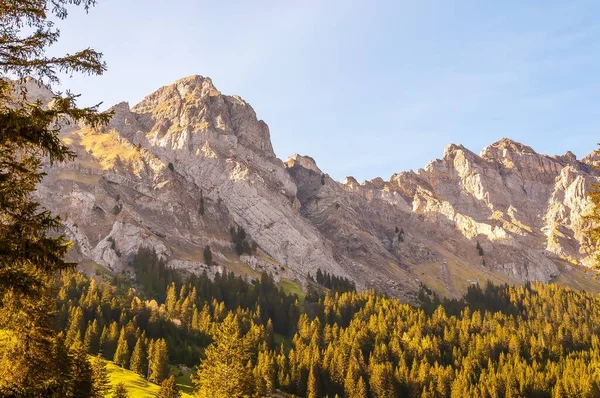 瑞士阿尔卑斯山上美丽的山景 绿树成荫 山岩耸立 — 图库照片