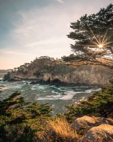 Güneşin Ağaçtan Parladığı Kayalık Bir Sahil — Stok fotoğraf