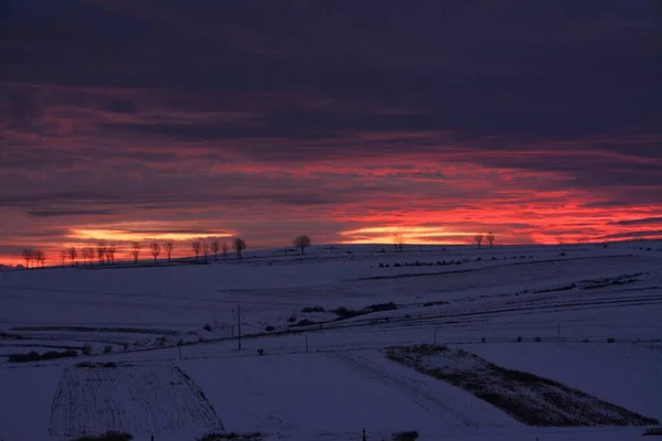 在美丽的白雪覆盖的田野上 红天上令人叹为观止的落日 — 图库照片