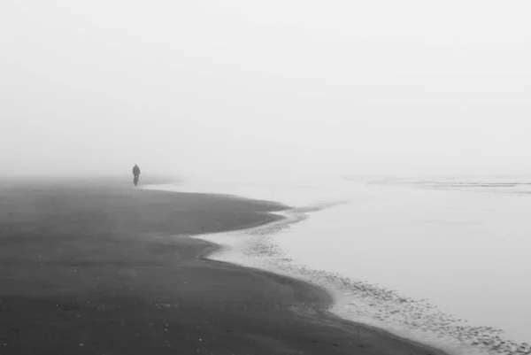 暗い雲の下のビーチを歩く孤独な人の灰色のショット — ストック写真