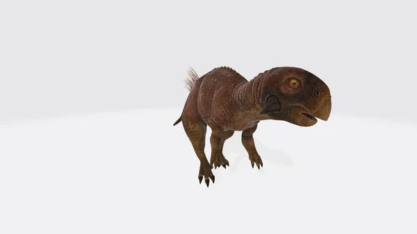 Ilustración Psittacosaurus Dinosaurio Psittacosaurus Aislado —  Fotos de Stock