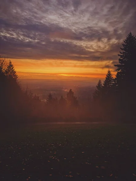 Breathtaking Shot Mountain Hillside Lots Trees Sunset Background — Stock Photo, Image