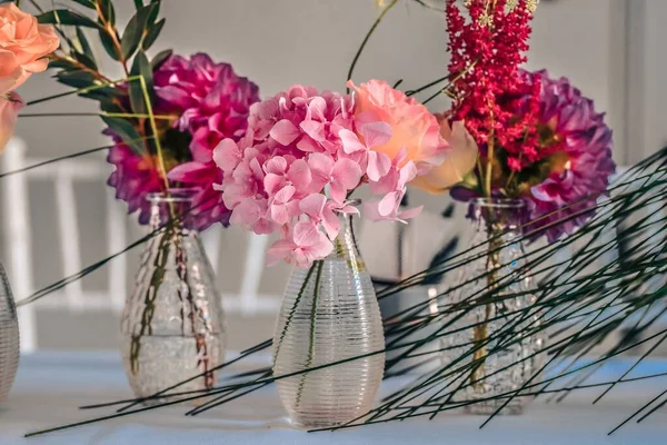 Primo Piano Piccoli Vasi Con Ortensie Crisantemi — Foto Stock