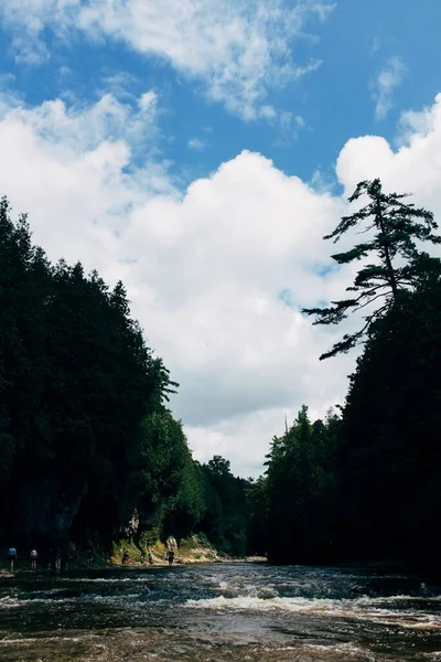 Rzeka Otoczona Zielonymi Drzewami Pod Błękitnym Niebem — Zdjęcie stockowe