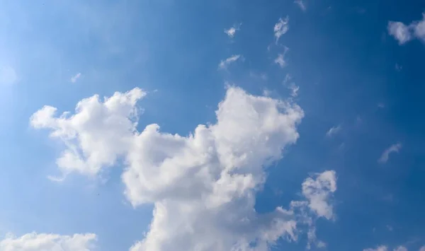 在夏天的白天 一张低角的蓝天照片 非常适合墙纸和背景 — 图库照片