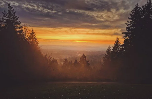 日没の背景にたくさんの木がある山の丘の中腹の息をのむようなショット — ストック写真
