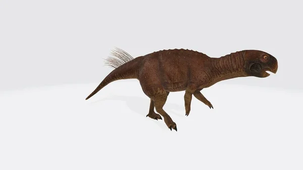 Illusztrációja Psittacosaurus Dinoszaurusz Psittakosaurus Izolált — Stock Fotó