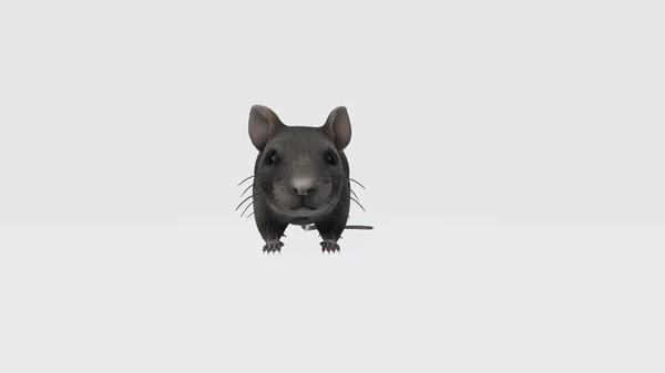 Ilustracja Głodnej Myszy Ciekawa Mysz Drzewna Apodemus Sylvaticus Uroczymi Czarnymi — Zdjęcie stockowe