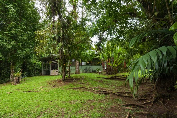 Peurto Viejo Sarapiqui Costa Rica Mayo 2012 Cabañas Estación Biológica —  Fotos de Stock