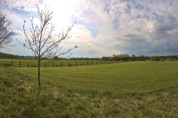 Een Horizontaal Shot Van Omheinde Groene Landbouwgrond — Stockfoto