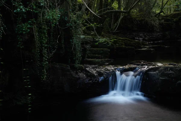 Uma Pequena Cachoeira Fluvial Uma Exuberante Floresta Verde — Fotografia de Stock