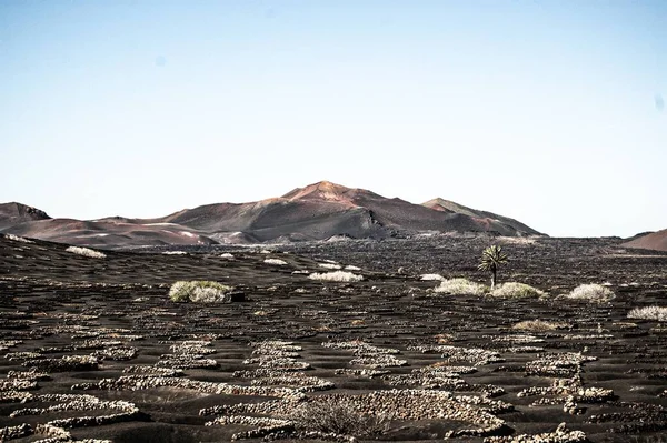 Ujęcie Horyzontalne Pięknego Krajobrazu Lanzarote Hiszpania Świetle Dziennym — Zdjęcie stockowe