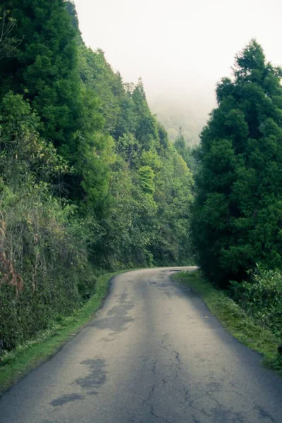 Tiro Vertical Uma Estrada Montanha Rodeada Natureza Incrível — Fotografia de Stock