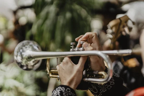Nahaufnahme Eines Mannes Der Trompete Spielt Mit Bäumen Hintergrund — Stockfoto