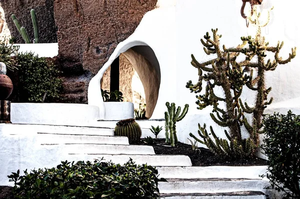 西班牙兰萨罗德 一个美丽的白色阶梯 两边都有仙人掌和植物 — 图库照片