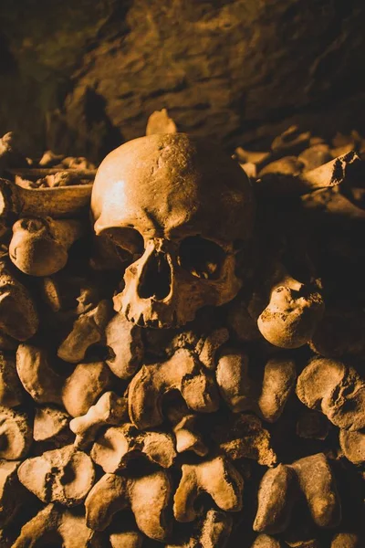 프랑스 파리의 카타콤 아래있는 두개골들을 수직으로 감쌌다 — 스톡 사진