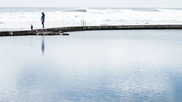 Osoba Psem Stojící Těle Jezera Zasněženém Údolí — Stock fotografie