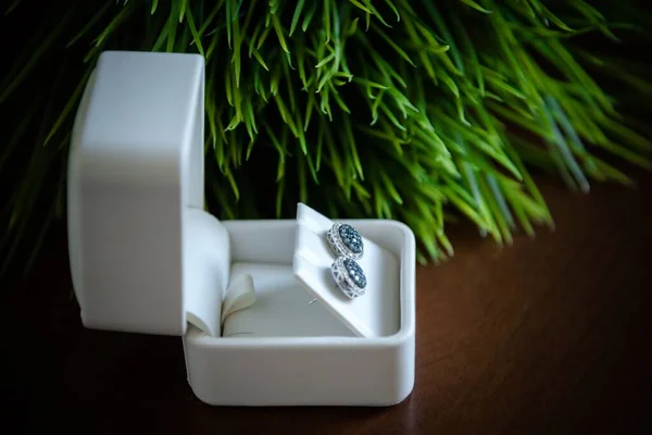 Yakın Plan Gümüş Küpeler Beyaz Mücevher Kutusunda Mavi Kristaller — Stok fotoğraf