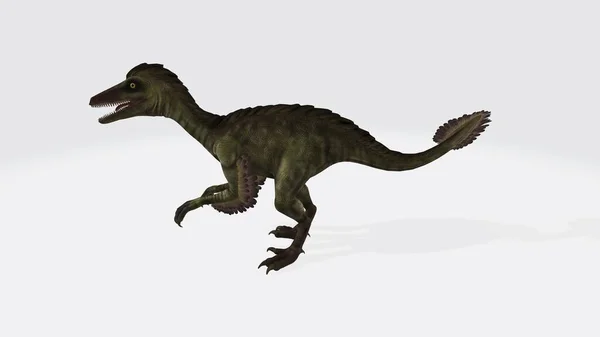 Rendimiento Dinosaurio Troodon Generado Por Ordenador Aislado Fondo Blanco — Foto de Stock