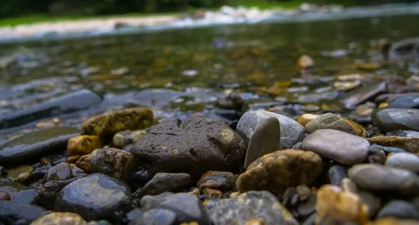 Primo Piano Numerose Rocce Vicino Fiume Con Uno Sfondo Sfocato — Foto Stock