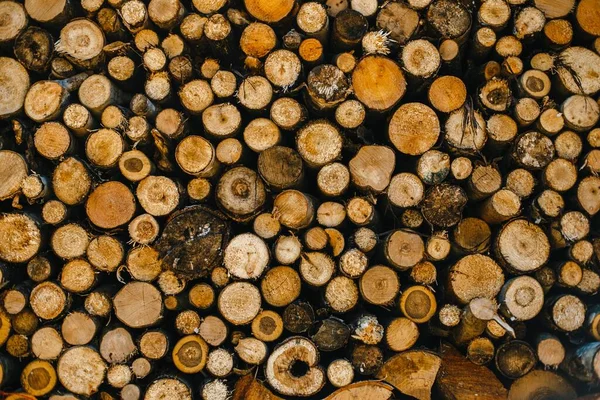 Closeup Shot Many Stacked Firewoods — Stock Photo, Image