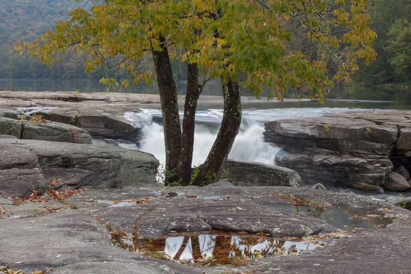 Bomen Omringd Door Tygart Valley River Bij Daglicht Valley Falls — Stockfoto