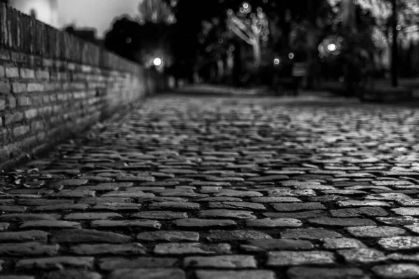 Een Grijswaarden Opname Van Een Kasseien Straat Avond — Stockfoto