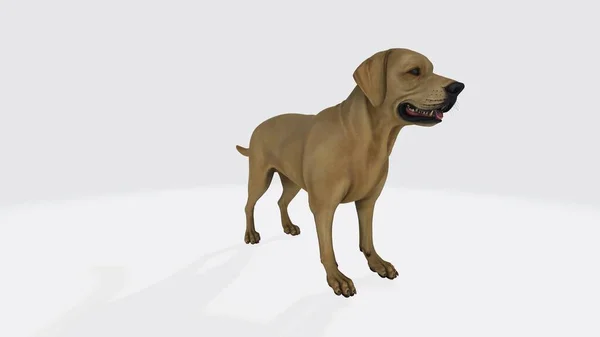 Illustration Rendering Dog White Background — Stock Photo, Image