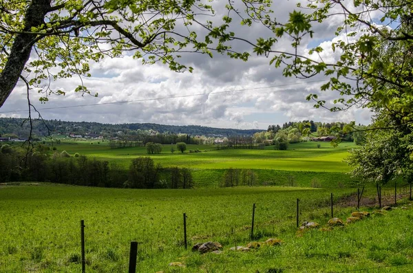 Krajina Poli Pokrytém Zelení Pod Zataženou Oblohou Dne — Stock fotografie