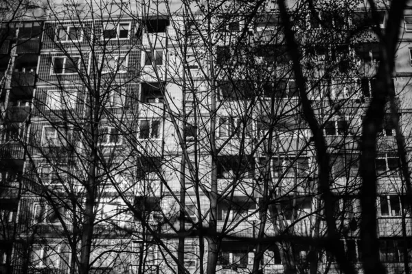 Greyscale Shot Bare Trees Front Residential Building — Stock Photo, Image