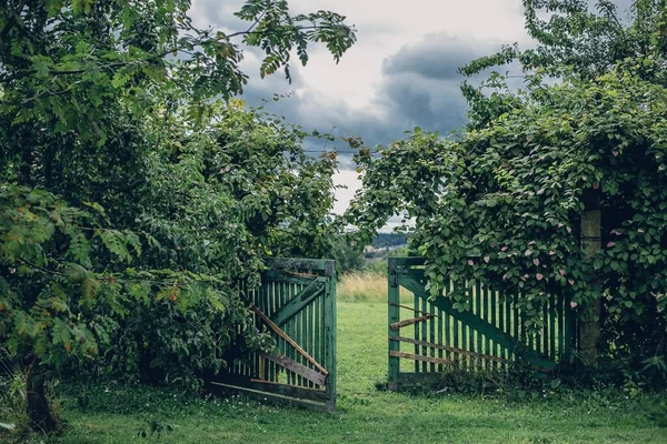 Ein Offener Hölzerner Grüner Zaun Umgeben Von Grünen Pflanzen Einem — Stockfoto