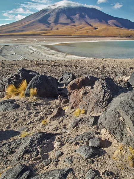 Pionowe Ujęcie Rezerwatu Narodowego Eduardo Avaroa Andean Fauna — Zdjęcie stockowe