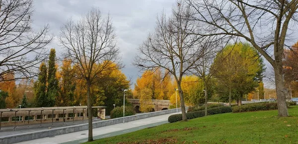 Uma Bela Paisagem Uma Estrada Arborizada Outono — Fotografia de Stock