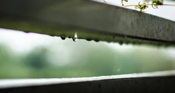 울타리에 빗방울들 — 스톡 사진