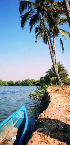 Eine Vertikale Aufnahme Einer Tropischen Palme Und Eines Bootes Strand — Stockfoto