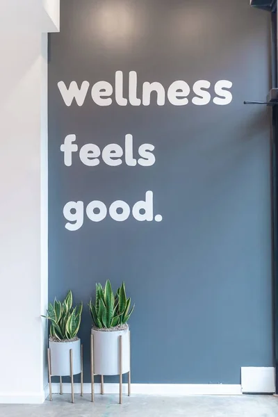 Text Wellness Feels Good Gray Background Green Potted Plants — Stock Photo, Image