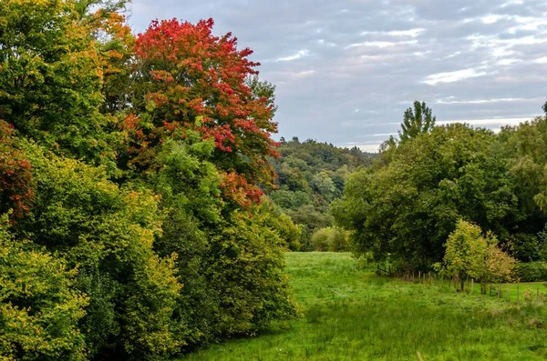 Paysage Champ Couvert Verdure Sous Ciel Nuageux Jour — Photo