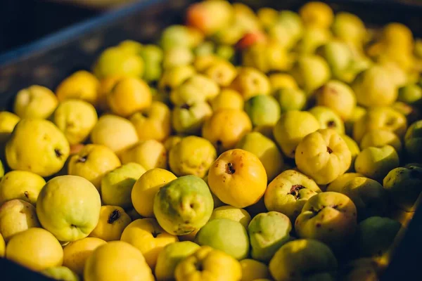 Plan Angle Élevé Pommes Récoltées Dans Une Boîte — Photo