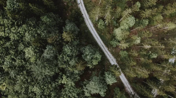Воздушный Кадр Дороги Окруженной Лесом Дневное Время Идеально Подходит Обоев — стоковое фото