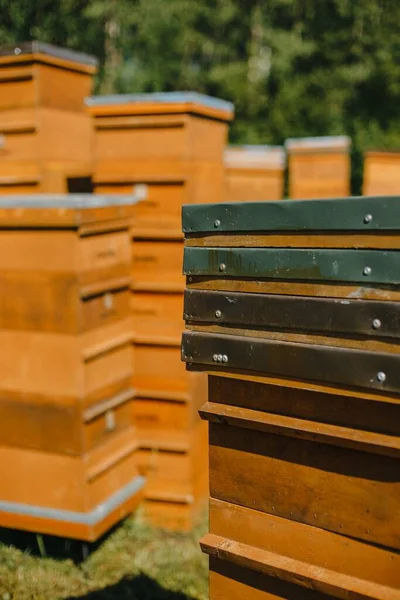 Eine Vertikale Nahaufnahme Von Braunen Hölzernen Bienenständen Einer Ländlichen Gegend — Stockfoto
